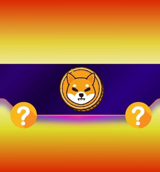 Shiba Inu (SHIB) Might Plunge by Another 30% Before Finding Support (Analyst)
