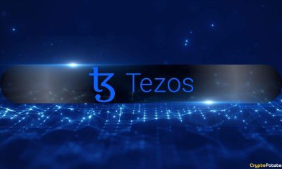 Tezos Sees Rising Revenue but Declining Activity as Users Shift to Layer 2
