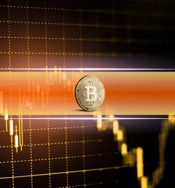 The State of Crypto Options Markets After the Recent Sell-Off (Report)