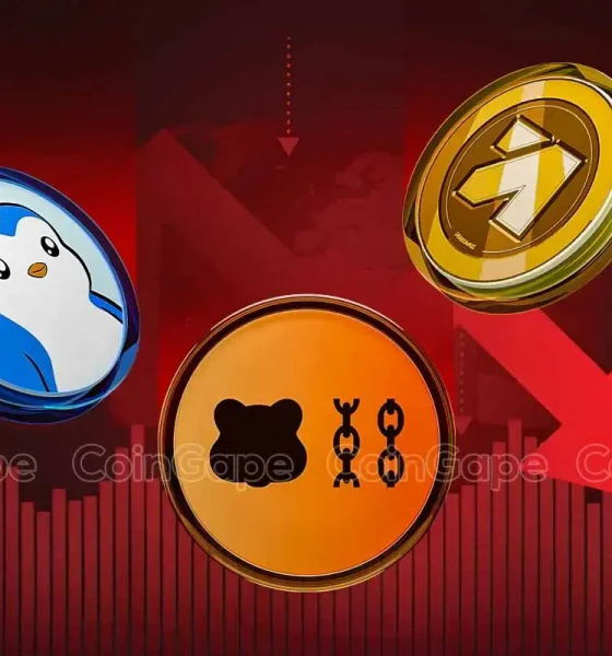 PENGU, ANIME BERA: These Altcoins Crashed More Than 60% After Launch, Should You Buy?