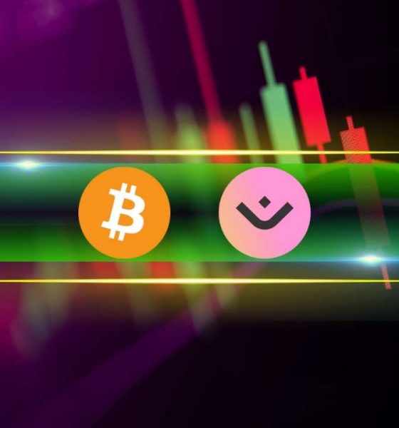 These Altcoins Soar as Bitcoin (BTC) Holds Steady Above $97K (Weekend Watch)