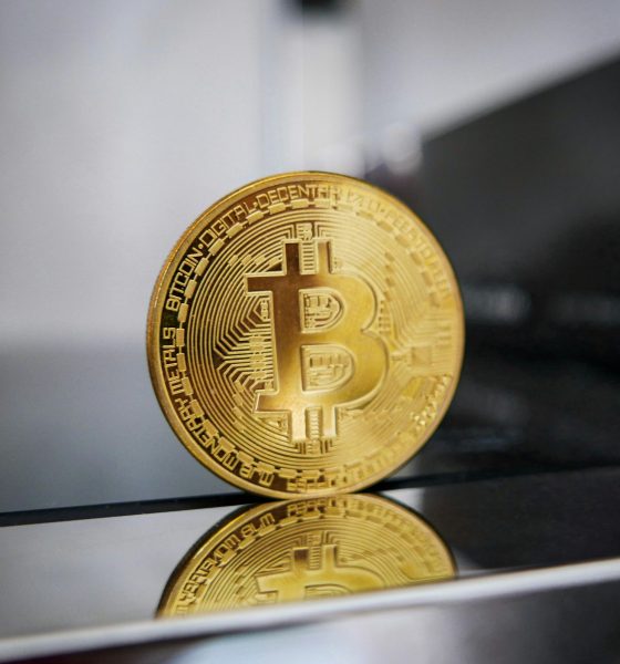 This Analyst Called The Bitcoin Price Crash Early, Total Prediction Says More Pain Is Coming