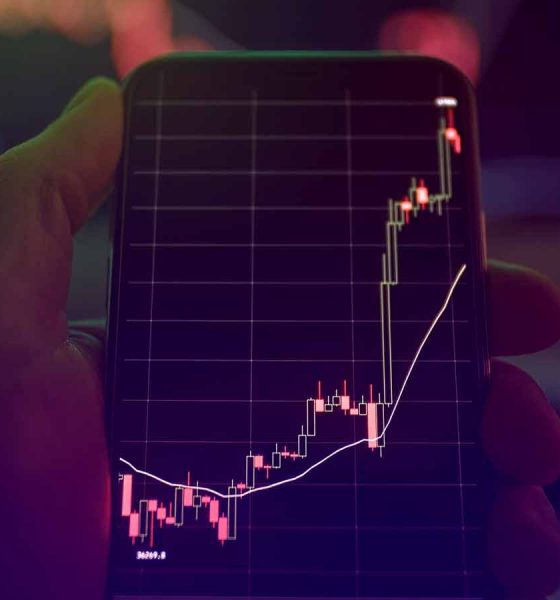 What the bounce tells us about the next big crypto narratives