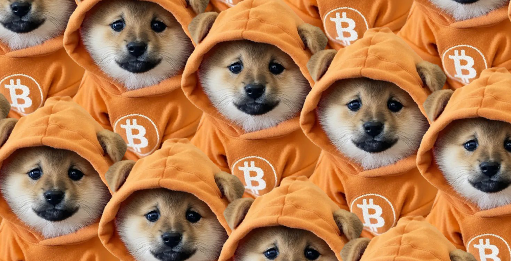 Why Bitcoin's Biggest Meme Coin Just Bridged Over to Solana