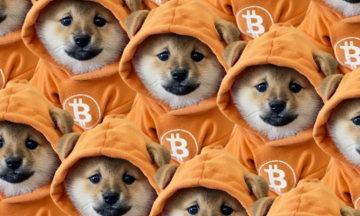 Why Bitcoin's Biggest Meme Coin Just Bridged Over to Solana