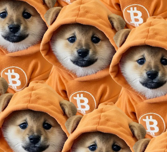 Why Bitcoin's Biggest Meme Coin Just Bridged Over to Solana