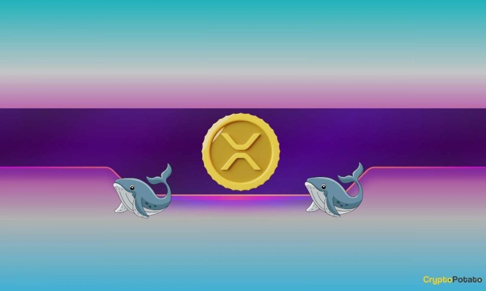 Why Did Ripple's (XRP) Price Tumble by 8% Daily?