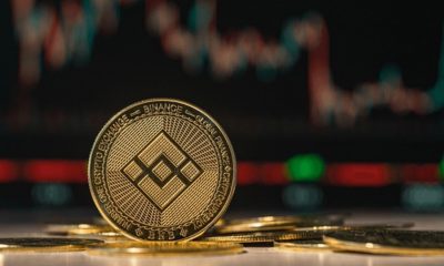 Will BNB Hold or Plunge to $214?