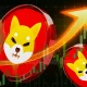 Will Shiba Inu Price Reach $1 Dollar by 2030?