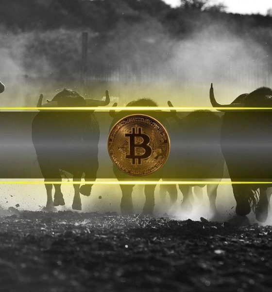 3 Bullish Signs for Bitcoin’s Price in the Week Ahead