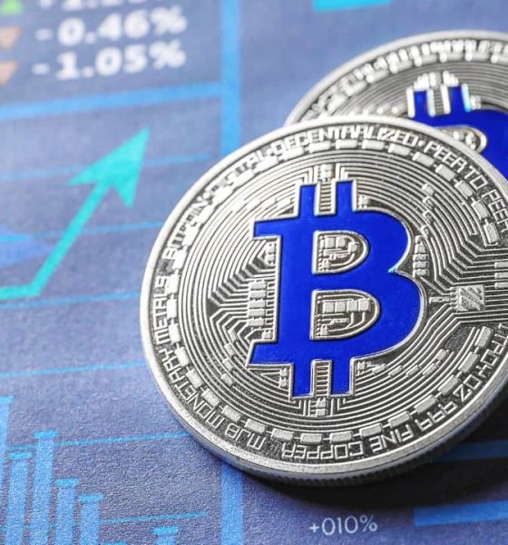 50K New Bitcoin Wallets Signal Growing Network Participation Despite Price Swings