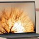 ASUS Zenbook A14 review: Laptop that challenges the MacBook Air—and wins (sometimes)