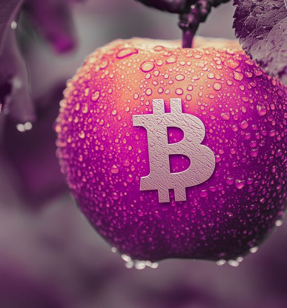 Analyst Predicts New All-Time High Rallies for Bitcoin, Says BTC Now in Stage Two of Bull Market