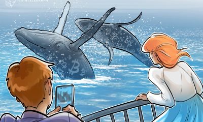 Bitcoin whales hint at $80K 'market rebound' as Binance inflows cool