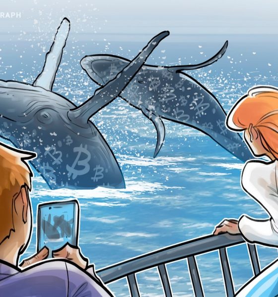 Bitcoin whales hint at $80K 'market rebound' as Binance inflows cool