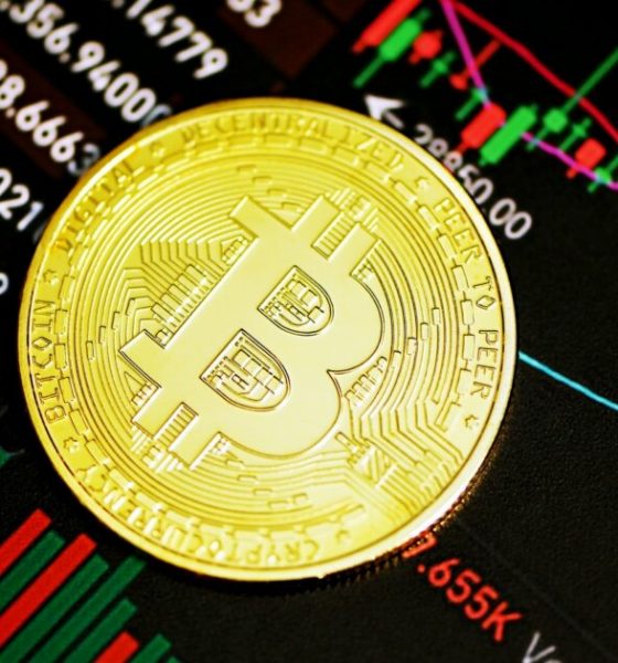 Bitcoin’s Risk Factor Remains High, Crypto Analyst Notes
