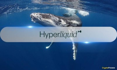 HYPE Sinks 8.5% as Whale Liquidation Causes $4M Hyperliquid Vault Loss