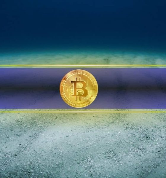 Here's When Bitcoin Will Bottom and What's Next: Industry Experts Weigh In