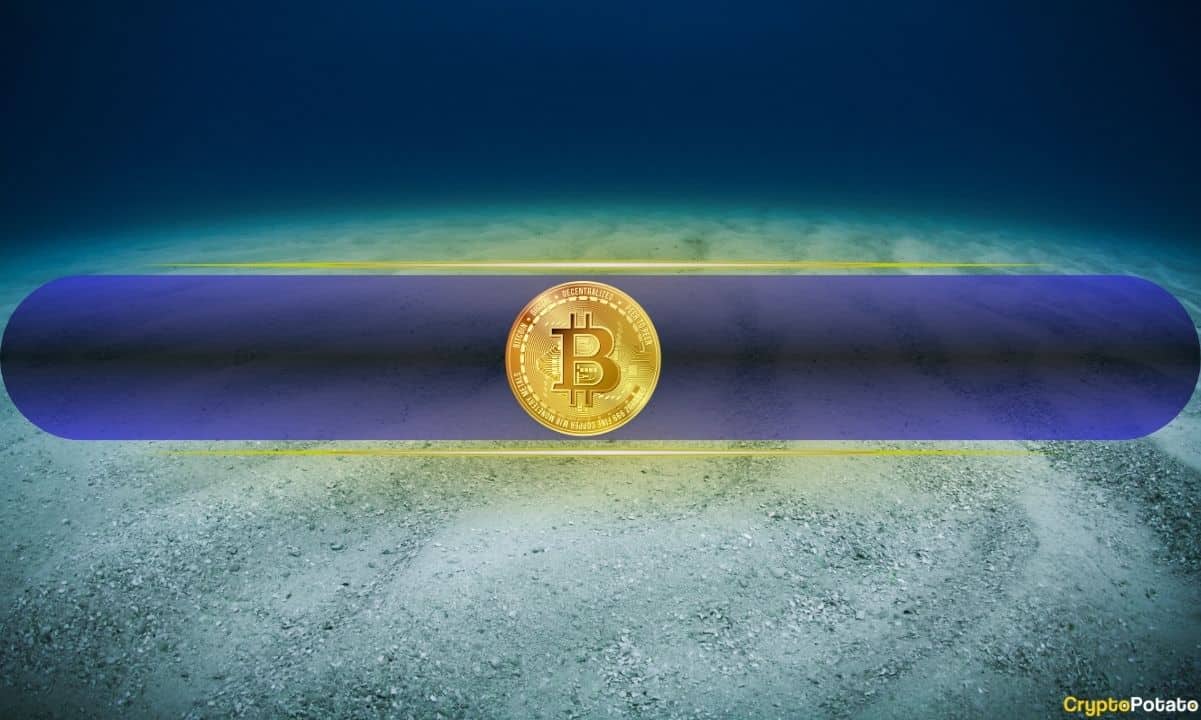 Here's When Bitcoin Will Bottom and What's Next: Industry Experts Weigh In
