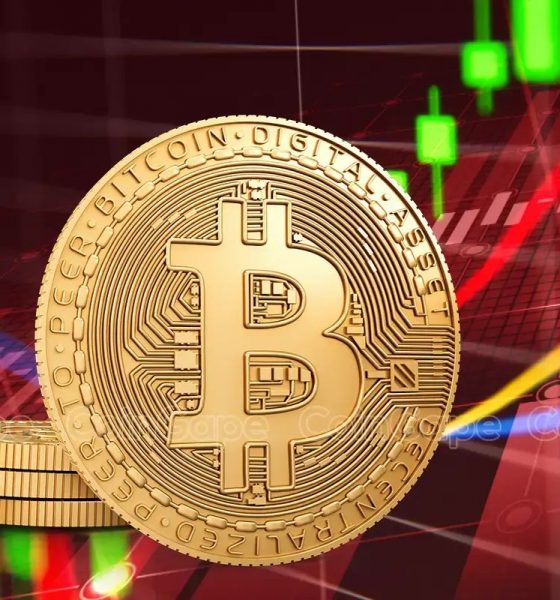 Is Bitcoin Price Bottom In? Key Metrics Show rally Is Likely