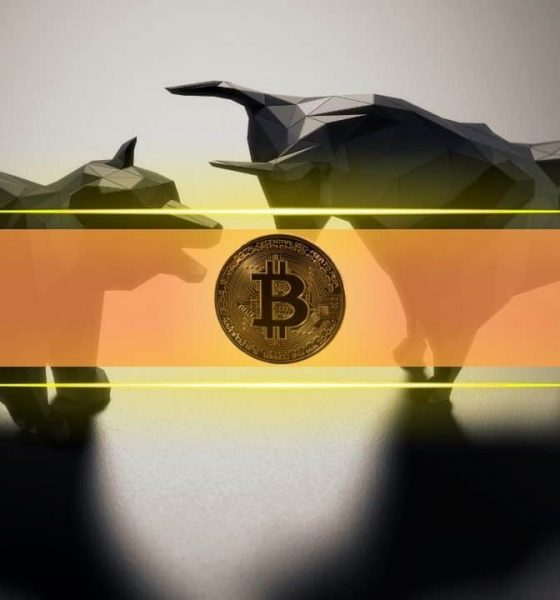 Is the Bitcoin Bull Run Over After BTC Crashed by $20K in 5 Days?