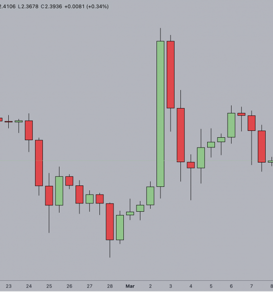 XRP Price Action