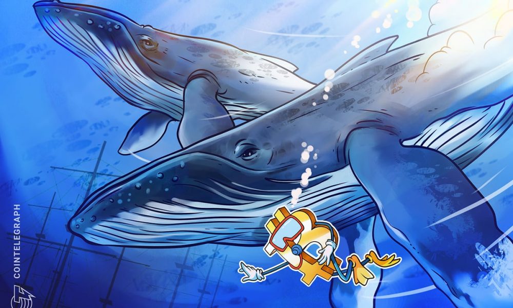 Massive Bitcoin whale buys $200M in BTC, another wakes up after 8 years