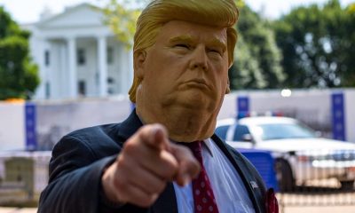 TRUMP, Dogecoin and Cardano Down Bad as Market Continues to Bleed