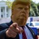 TRUMP, Dogecoin and Cardano Down Bad as Market Continues to Bleed