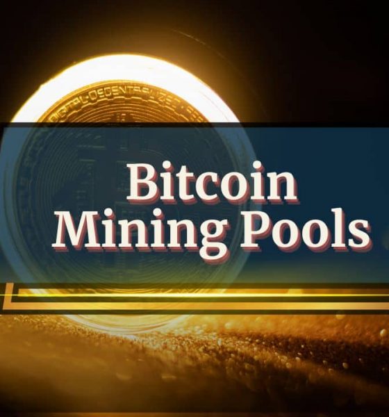 The 5 Best Bitcoin Mining Pools in 2025: Complete Guide