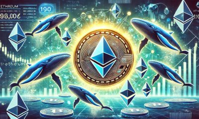 Whales Add 190,000 Ethereum In The Last 24 Hours – The Accumulation Continues