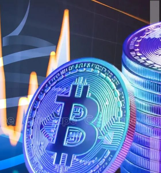 Why Is the Crypto Market Up? Will Bitcoin Price Crash Again