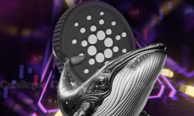 Will Cardano Price Hit $1 by March 2025 as 12.54B ADA Whales Accumulate?