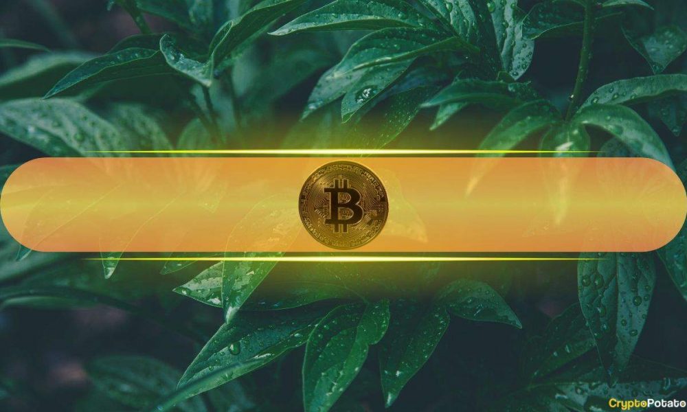 Bitcoin Rebound Backed by On-Chain Strength Despite Trade War Uncertainties