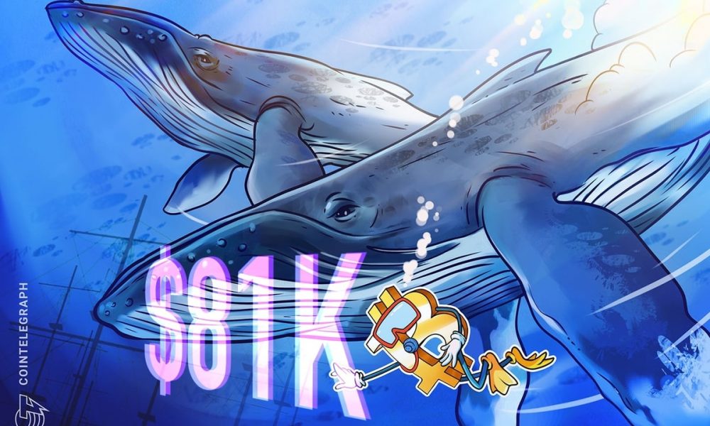 Bitcoin whale accumulation trend mirrors 2020-era bullish activity after BTC price bounces off $81K