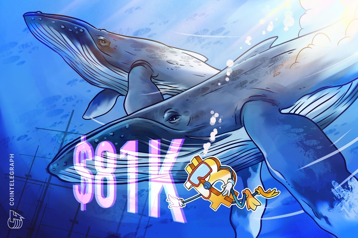 Bitcoin whale accumulation trend mirrors 2020-era bullish activity after BTC price bounces off $81K