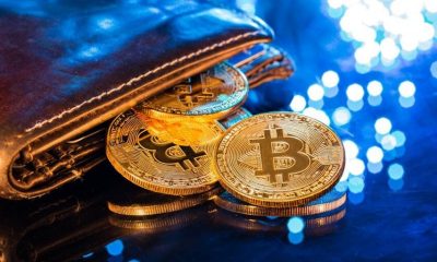 Over 60% of Crypto Users Manage Two or More Wallets: Reown