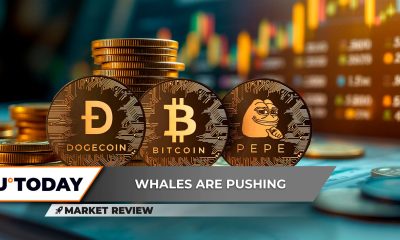 $115,000 Next? 7,000,000,000 Pepe (PEPE) Long Is Born, Dogecoin (DOGE) Short-Term Rally Incoming?