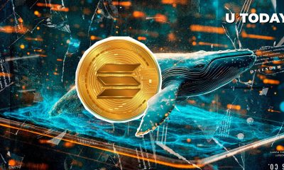 $161,023,918 in Solana (SOL) Moved Mysteriously as Price Falls Deeper
