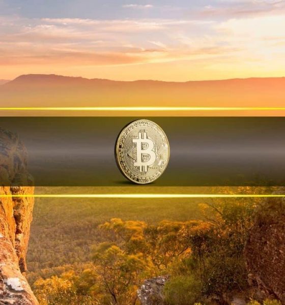Analyst Forecasts BTC Short-Term Holders Could Drive Price to $162K in Weeks