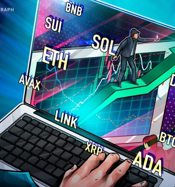 BTC, ETH, XRP, BNB, SOL, DOGE, ADA, SUI, LINK, AVAX