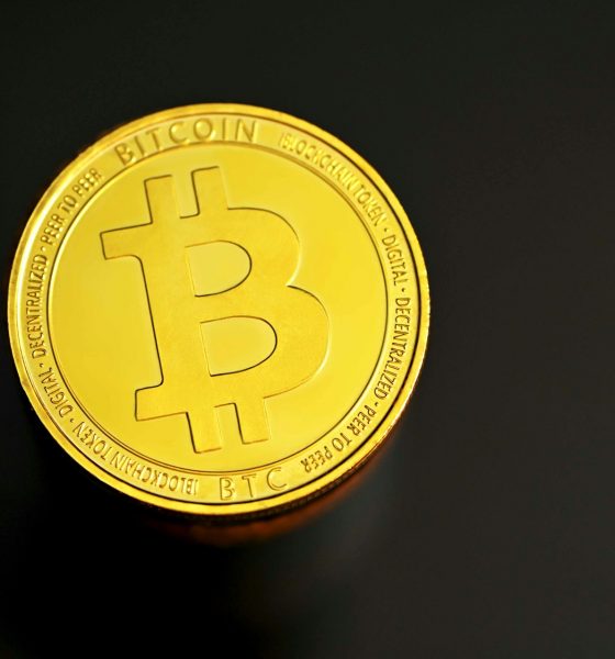 Bitcoin Upward Momentum 'Highly Likely' To Continue, On-Chain Data Shows