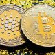 BitcoinOS Demo Sends BTC to Cardano and Back—Without a Cross-Chain Bridge