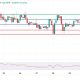 Cardano Price Finds $0.700 Support to Strengthen Upward Traction
