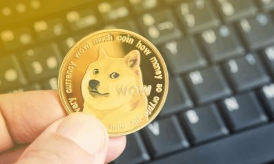 Dogecoin Price Tests Panic Zone At $0.21, Breakdown Could Lead To Price Crash