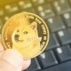 Dogecoin Price Tests Panic Zone At $0.21, Breakdown Could Lead To Price Crash