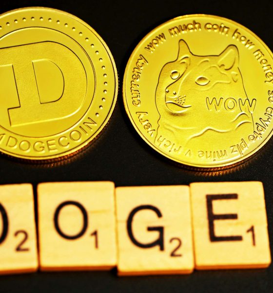 Dogecoin Uptrend Intact? Expert Analysis Sparks Bullish Buzz