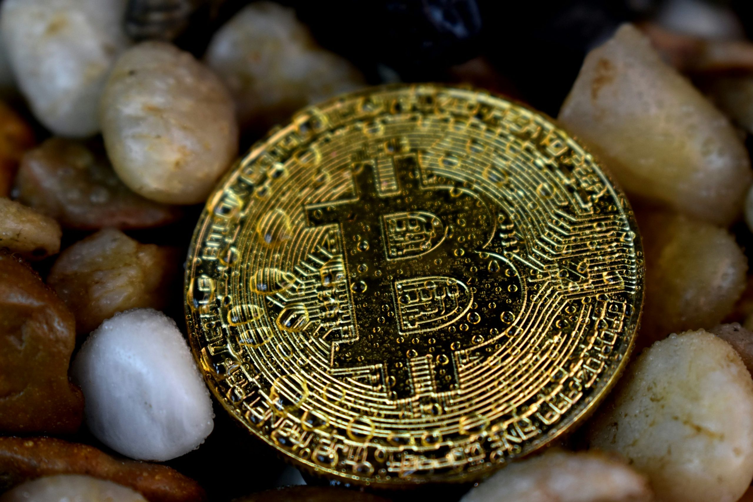 LMACD Indicator Reveals Where The Bitcoin Price Is After Rejection From $97,000