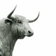 New XRP Rally Incoming? Analyst Believes This Cycle Is Unique