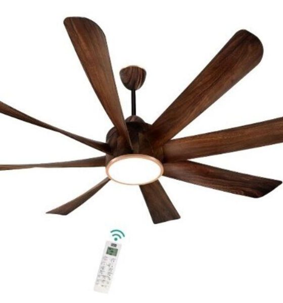 Remote fans with lights that add style and comfort to modern homes: Top 7 picks with the latest features and designs